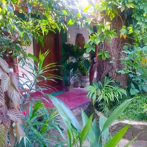 Séjour chez l'habitant Gangula Eco, Sigirîya