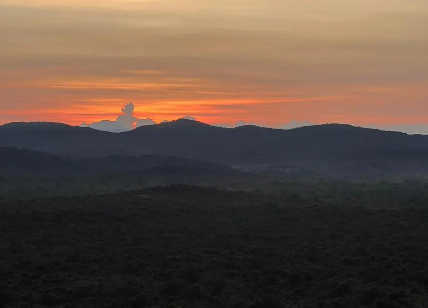 Sigiri Cardamon Villa Sigiriya Homestay