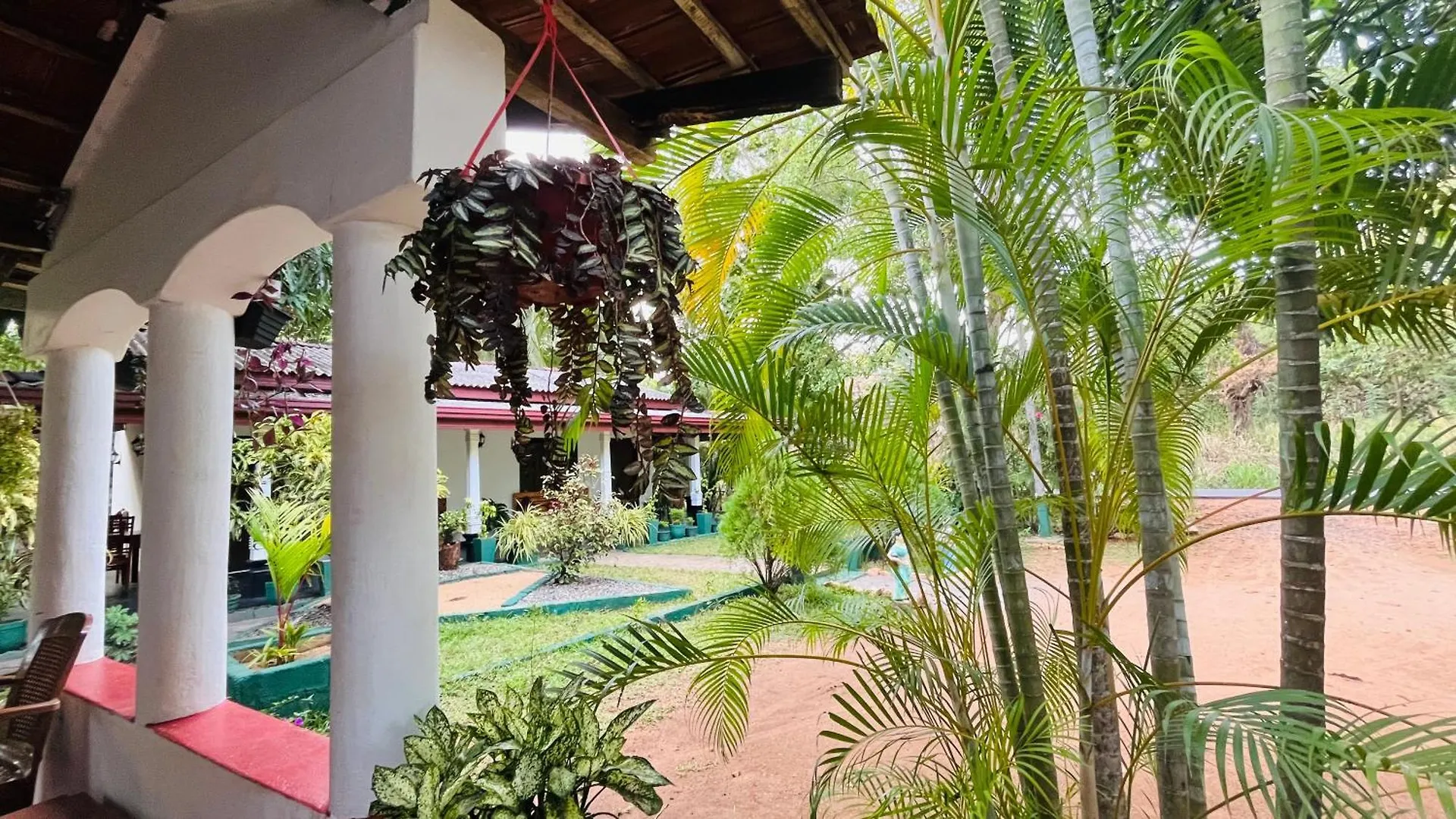 Homestay Sigiri Cardamon Villa Sigiriya Sri Lanka