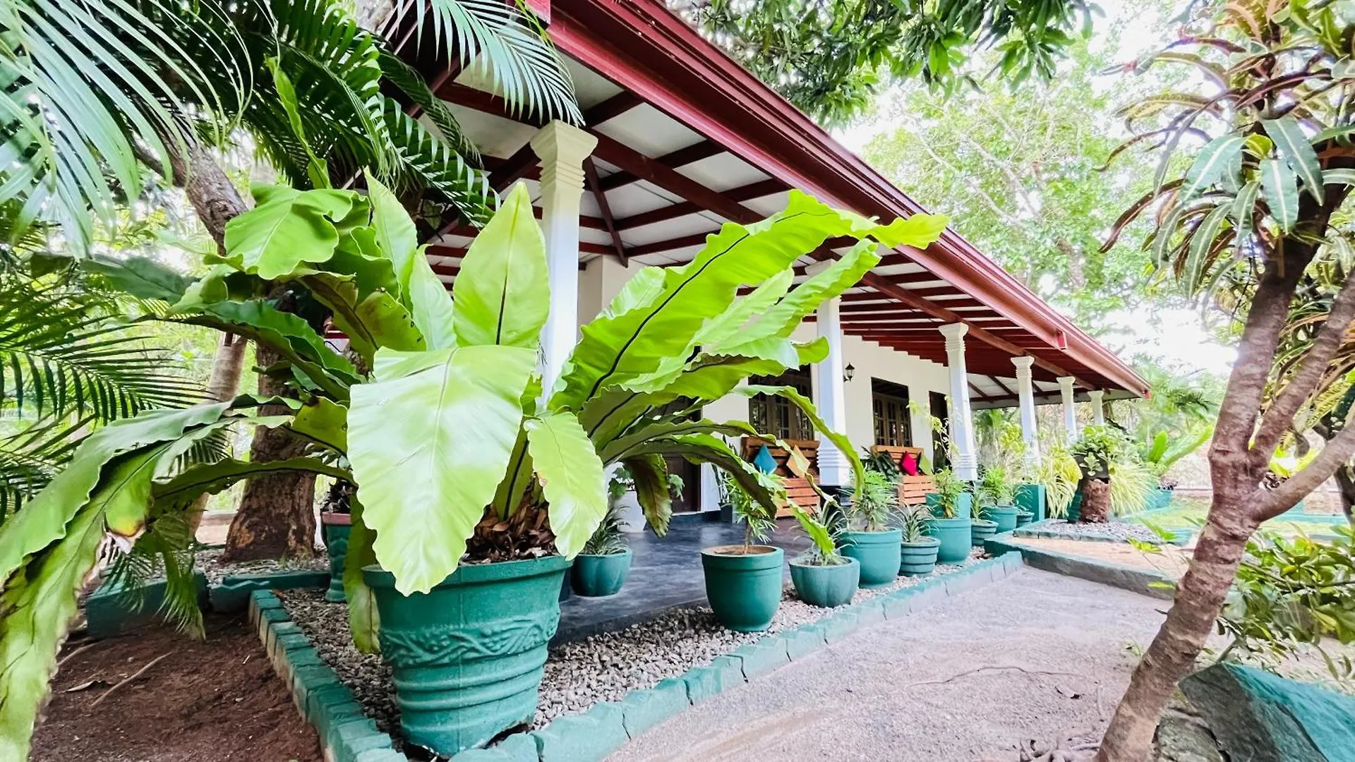 Homestay Sigiri Cardamon Villa Sigiriya